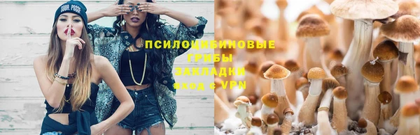 MDMA Новодвинск