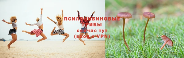 mdma Новокубанск