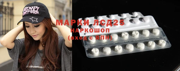молекула духа Новозыбков