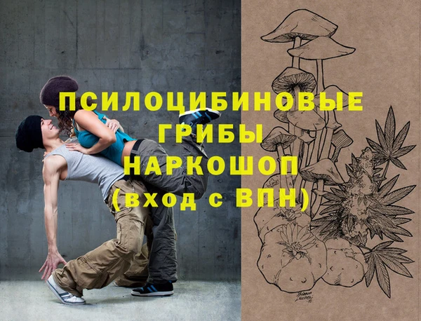 молекула духа Новозыбков
