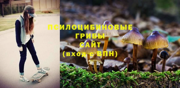 молекула духа Новозыбков