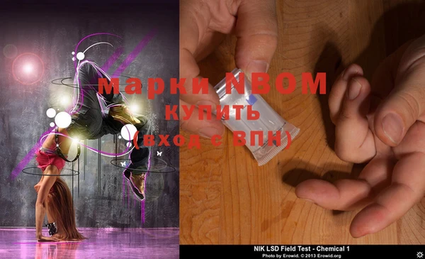 молекула духа Новозыбков