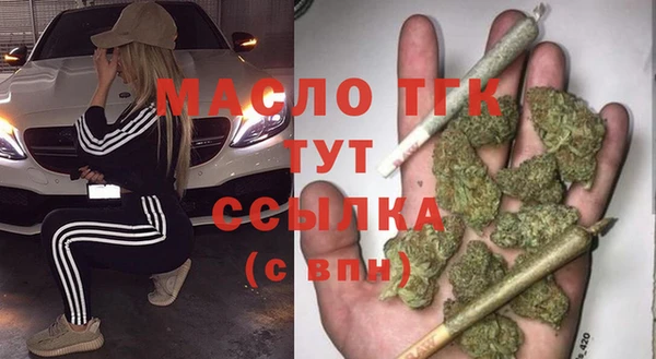 молекула духа Новозыбков
