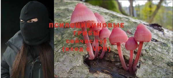 молекула духа Новозыбков