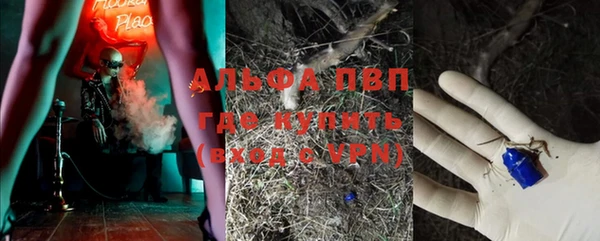 молекула духа Новозыбков