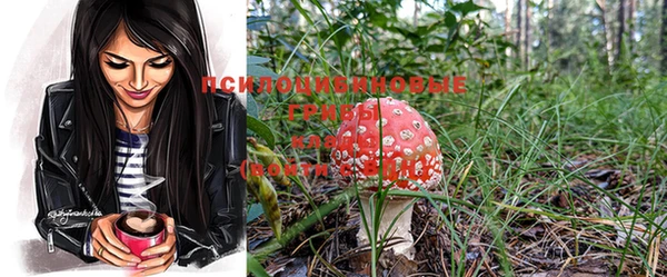 MDMA Новодвинск