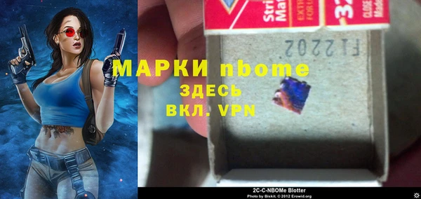 молекула духа Новозыбков