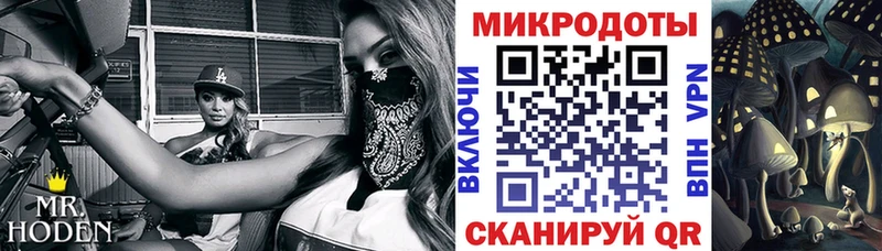 Псилоцибиновые грибы Cubensis  Харовск 